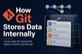 How Git Stores Data Internally: The Object Model Explained