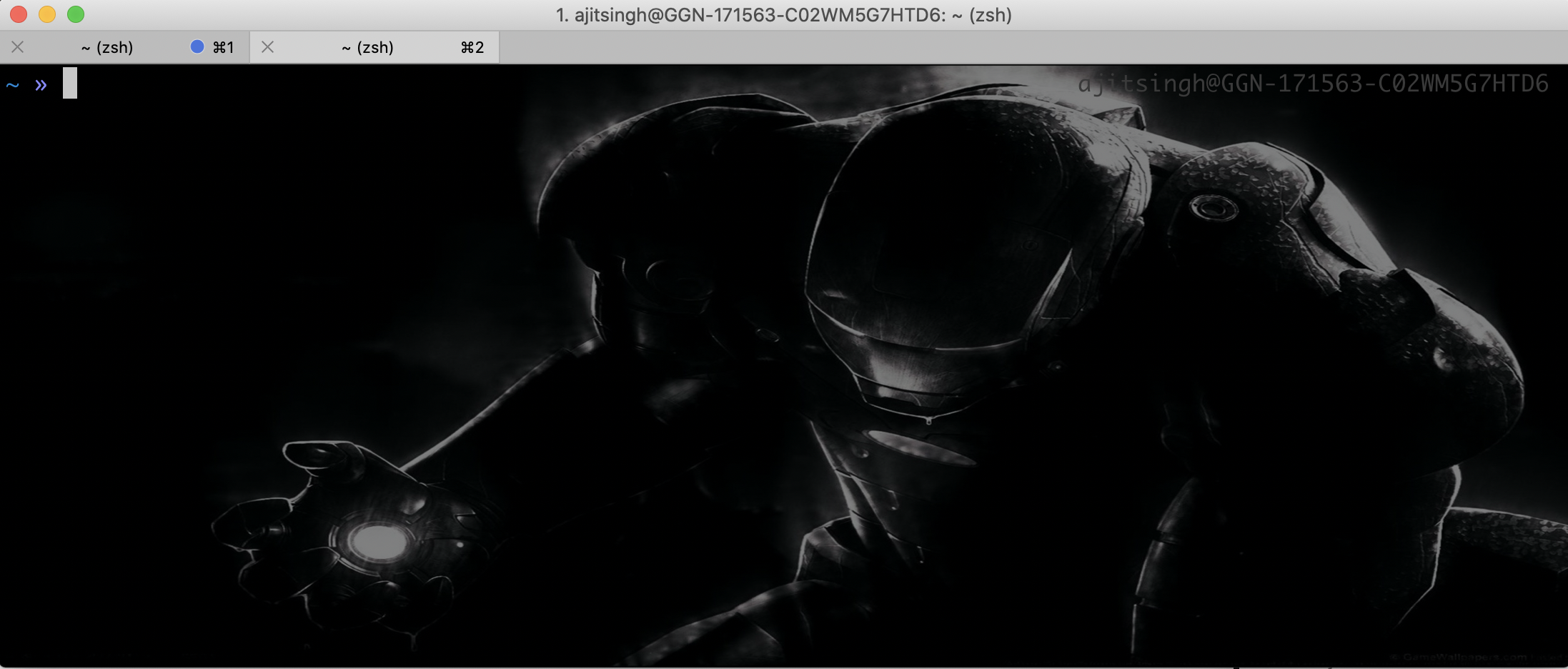 shell_session_update: command not found